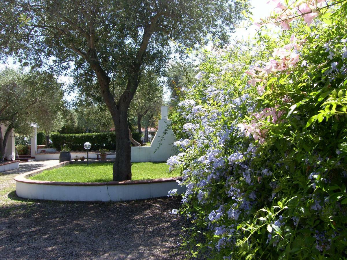 Villa Sarda Sorso Bagian luar foto